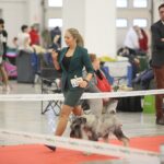 23.11.2019 Kielce. Międzynarodowa Wystawa Psów Rasowych / Wiktor Taszlow / Radio Kielce