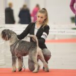23.11.2019 Kielce. Międzynarodowa Wystawa Psów Rasowych / Wiktor Taszlow / Radio Kielce