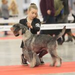 Fot. Wiktor Taszlow - Radio Kielce