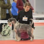 23.11.2019 Kielce. Międzynarodowa Wystawa Psów Rasowych / Wiktor Taszlow / Radio Kielce