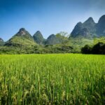 Muzyczne podróże. Chiny Południowe. Yangshuo / Mirosław Lubarski