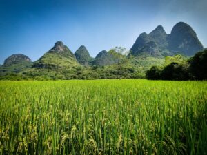 Muzyczne podróże. Chiny Południowe. Yangshuo / Mirosław Lubarski