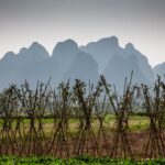 Muzyczne podróże. Chiny Południowe. Yangshuo / Mirosław Lubarski