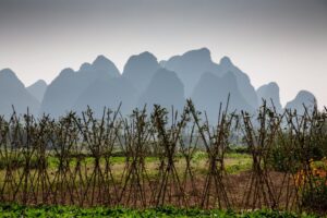 Muzyczne podróże. Chiny Południowe. Yangshuo / Mirosław Lubarski