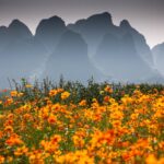 Muzyczne podróże. Chiny Południowe. Yangshuo / Mirosław Lubarski