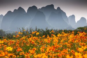 Muzyczne podróże. Chiny Południowe. Yangshuo / Mirosław Lubarski