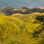 Muzyczne podróże. Chiny Południowe. Longsheng - tarasy ryżowe / Mirosław Lubarski