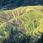Muzyczne podróże. Chiny Południowe. Longsheng - tarasy ryżowe / Mirosław Lubarski