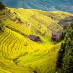 Muzyczne podróże. Chiny Południowe. Longsheng - tarasy ryżowe / Mirosław Lubarski