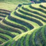 Muzyczne podróże. Chiny Południowe. Longsheng - tarasy ryżowe / Mirosław Lubarski