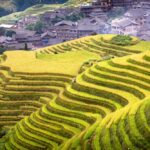 Muzyczne podróże. Chiny Południowe. Longsheng - tarasy ryżowe / Mirosław Lubarski