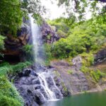 Mauritius / Joanna Dąbek