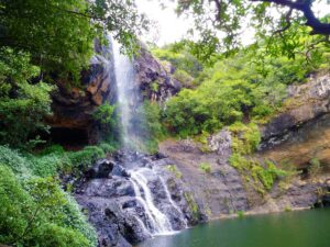 Mauritius / Joanna Dąbek