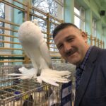24.11.2019 Sandomierz. Wystawa Gołębi Rasowych i Drobiu Ozdobnego. Na zdjęciu: Szymon Zyła - prezes Sandomierskiego Związku Hodowców Gołębi Rasowych i Drobiu Ozdobnego ze swoim ulubionym gołębiem garłaczem pomorskim / Grażyna Szlęzak-Wójcik / Radio Kielce