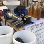 09.11.2019. Sandomierz. Kiermasz „Babie lato” na sandomierskiej starówce / Grażyna Szlęzak-Wójcik / Radio Kielce