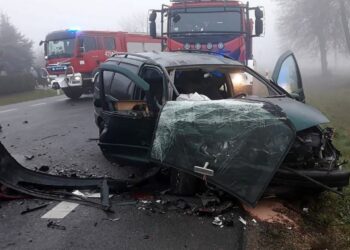 27.11.2019 Lenarczyce. Wypadek na drodze krajowej nr 77 / KPP w Sandomierzu