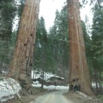 Muzyczne podróże. Miejsca mocy na świecie. USA / Beata Znojkowa