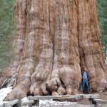 Muzyczne podróże. Miejsca mocy na świecie. USA / Beata Znojkowa