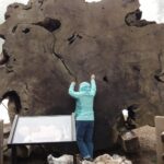 Muzyczne podróże. Miejsca mocy na świecie. USA / Beata Znojkowa