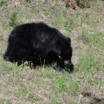 Muzyczne podróże. Miejsca mocy na świecie. USA / Beata Znojkowa