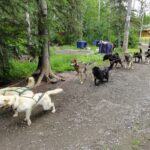 Muzyczne podróże. Miejsca mocy na świecie. USA / Beata Znojkowa