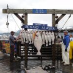 Muzyczne podróże. Miejsca mocy na świecie. USA / Beata Znojkowa