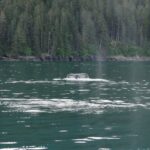 Muzyczne podróże. Miejsca mocy na świecie. USA / Beata Znojkowa