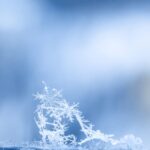 06.12.2019 Wyróżnione fotografie w konkursie „Życie jest piękne”. Autor: Maciej Czapla