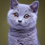 06.12.2019 Zwycięskie fotografie w konkursie „Życie jest piękne”. Autor: Przemysław Firkowski