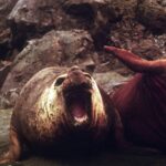 Muzyczne podróże. Antarktyka / Artur Zieliński