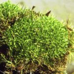 Muzyczne podróże. Antarktyka / Artur Zieliński