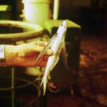 Muzyczne podróże. Antarktyka / Artur Zieliński