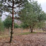 21.12.2019 Drugnia. Strzelnica / Kamil Król / Radio Kielce