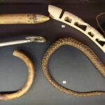 06.12.2019 Skarżysko. Wystawa nowości w zbiorach Muzeum Orła Białego / Anna Głąb / Radio Kielce