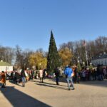 05.12.2019. Końskie. Zapalenie lampek na choince przed siedzibą urzędu miasta / Magdalena Galas-Klusek / Radio Kielce