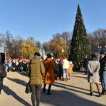 05.12.2019. Końskie. Zapalenie lampek na choince przed siedzibą urzędu miasta / Magdalena Galas-Klusek / Radio Kielce