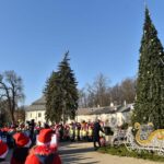 05.12.2019. Końskie. Zapalenie lampek na choince przed siedzibą urzędu miasta / Magdalena Galas-Klusek / Radio Kielce