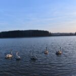 06.12.2019 Radoszyce. Wodowanie pływającego ogrodu / Magdalena Galas-Klusek / Radio Kielce