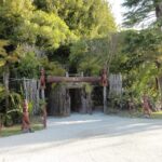 Muzyczne podróże. Miejsca mocy na świecie. Nowa Zelandia / Beata Znojkowa