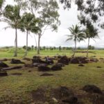 Muzyczne podróże. Miejsca mocy na świecie. USA - Hawaje / Beata Znojkowa