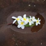 Muzyczne podróże. Miejsca mocy na świecie. USA - Hawaje / Beata Znojkowa