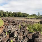 Muzyczne podróże. Miejsca mocy na świecie. USA - Hawaje / Beata Znojkowa