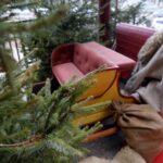 10.12.2019. Kielce. Świąteczny klimat w Radiu Kielce / Piotr Kwaśniewski / Radio Kielce