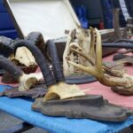 14.12.2019. Kielce. Giełda kolekcjonerska w Wojewódzkim Domu Kultury / Michał Kita / Radio Kielce