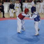 21.12.2019. Ostrowiec Świętokrzyski. Świętokrzyska Międzynarodowa Olimpiada Taekwondo / Maciej Makuła / Radio Kielce