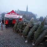 19.12.2019 Sandomierz. Choinki dla słuchaczy Radia Kielce / Jarosław Kubalski / Radio Kielce