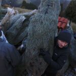 19.12.2019 Sandomierz. Choinki dla słuchaczy Radia Kielce / Jarosław Kubalski / Radio Kielce