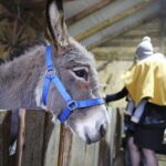 25.12.2019. Święty Krzyż. Szopka bożonarodzeniowa / Jarosław Kubalski / Radio Kielce