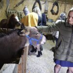 25.12.2019. Święty Krzyż. Szopka bożonarodzeniowa / Jarosław Kubalski / Radio Kielce