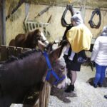 25.12.2019. Święty Krzyż. Szopka bożonarodzeniowa / Jarosław Kubalski / Radio Kielce